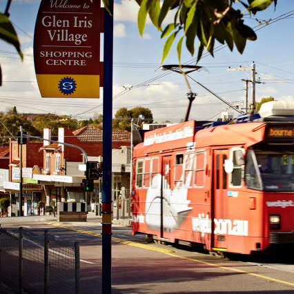 Glen Iris